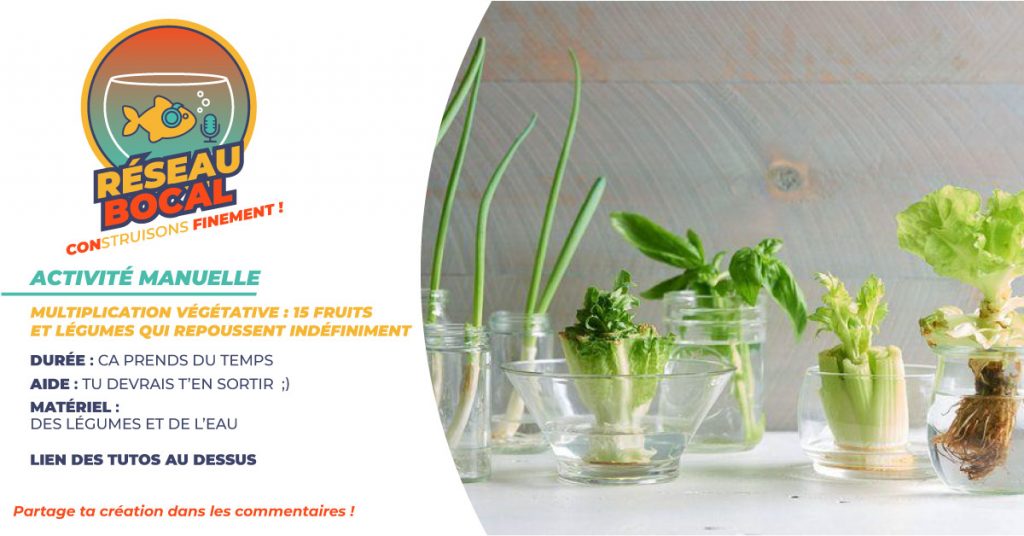 activité confinement
