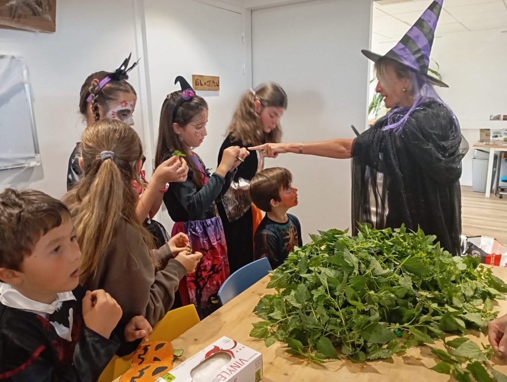 WhatsApp Image 2025-10-31 at 18.50.07 (1)