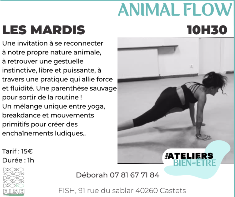 animal flow + desc.