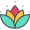 lotus lotus