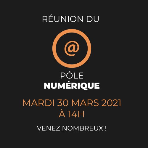 publication_retour_1ere_reunion_Plan de travail 1